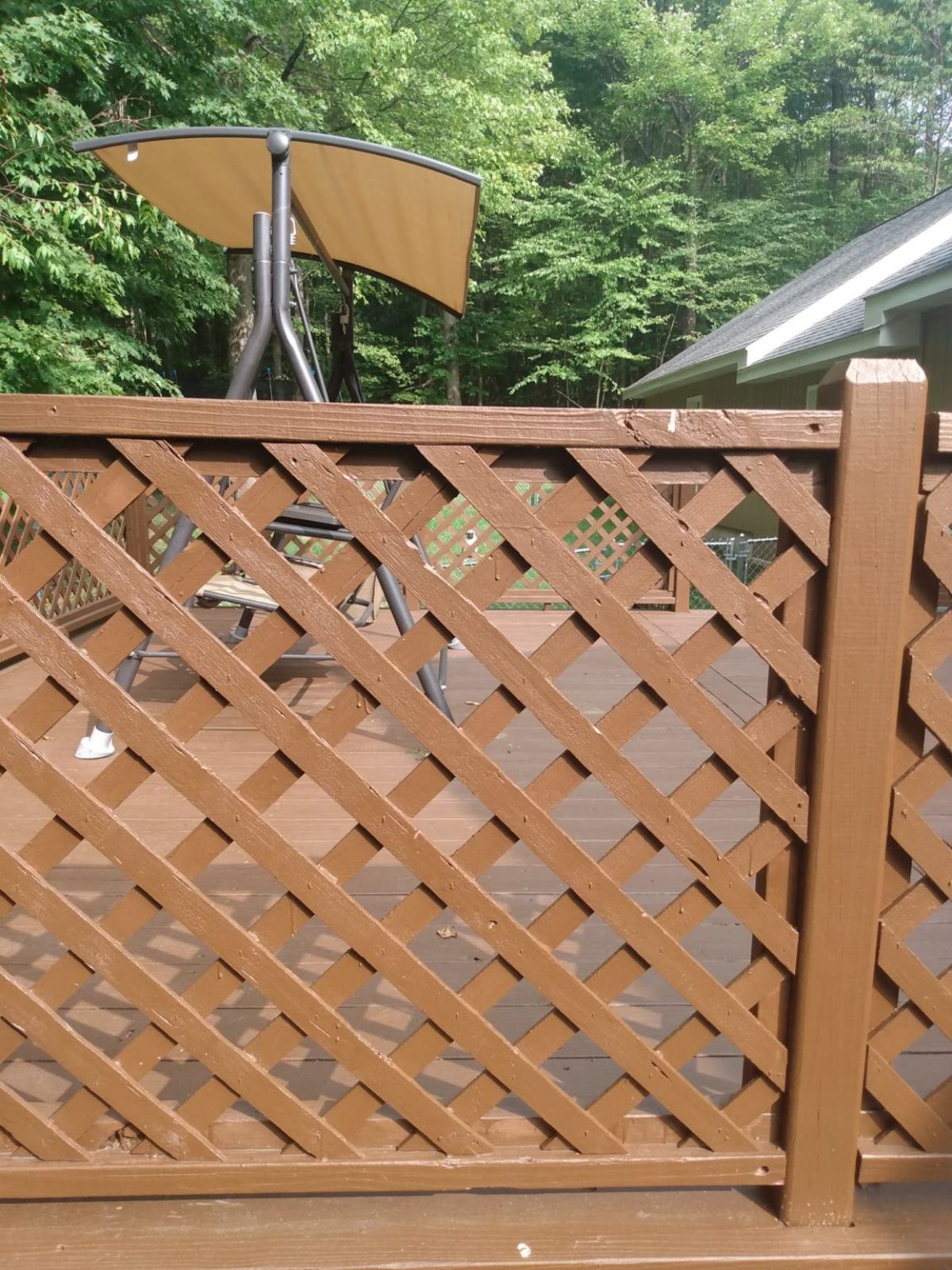 brown pug staring through 2 fences