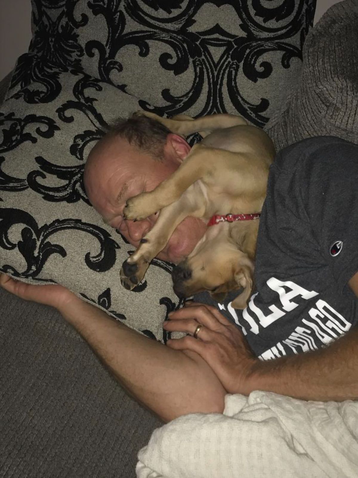 brown puppy sleeping on a sleeping man's neck with the puppy's legs on the man's face