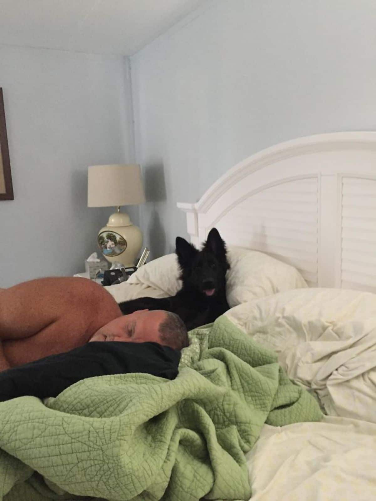 fluffy black puppy laying on a bed with the head against a white pilly while an old man is sleeping on blankets on the bed