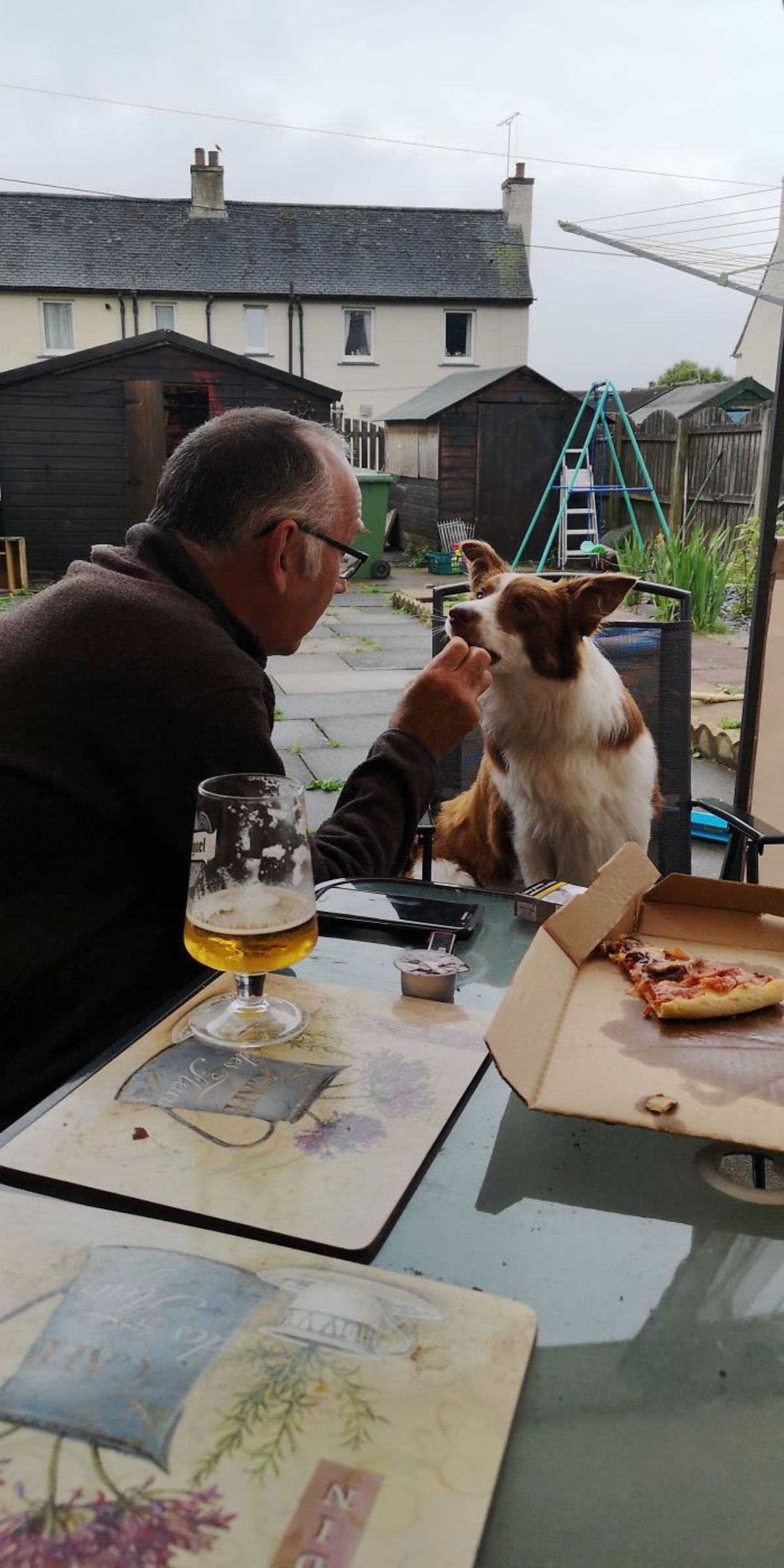 fluffy brown and white dog sitting on a chair at a table and being fed pizza by an old man