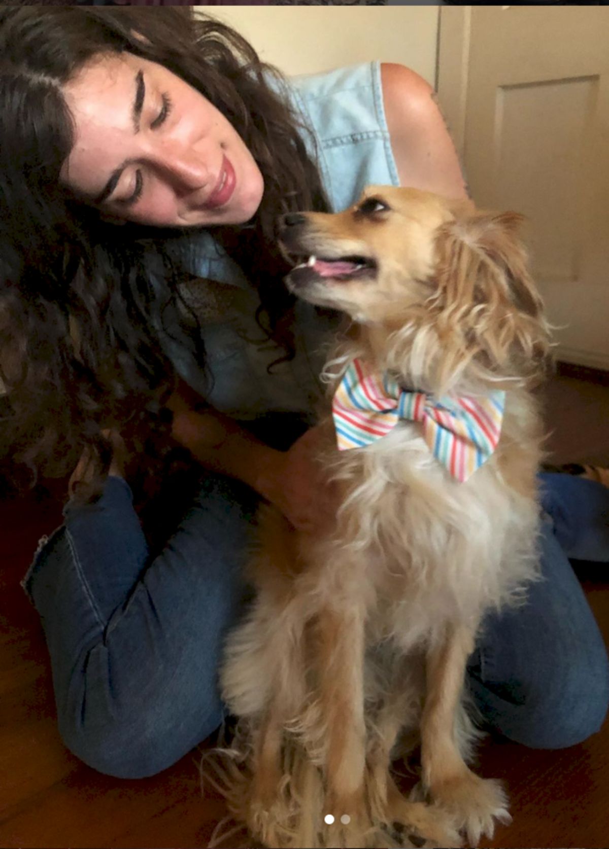 fluffy brown dog in a rainbow bowtie looking up lovingly at a woman next to it