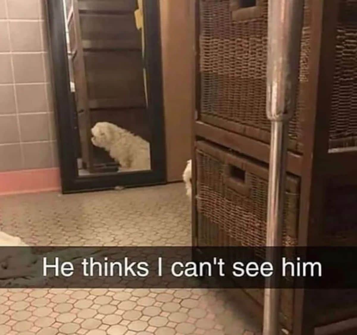 fluffy white dog peeking around a brown cupboard with a mirror behind him showing him hiding and a caption saying He thinks I can's see him