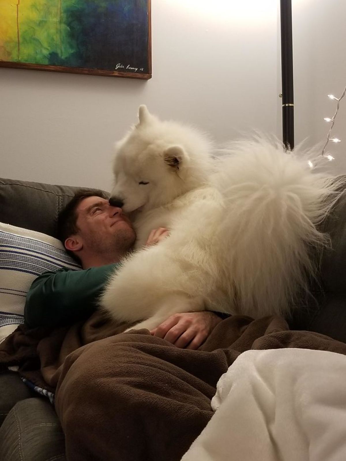 fluffy white samoyed laying on a smiling man laying on a brown sofa