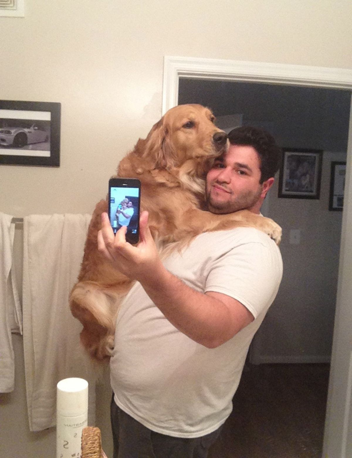 golden retriever being carried by a man and he's taking a selfie of the two of them in the mirror