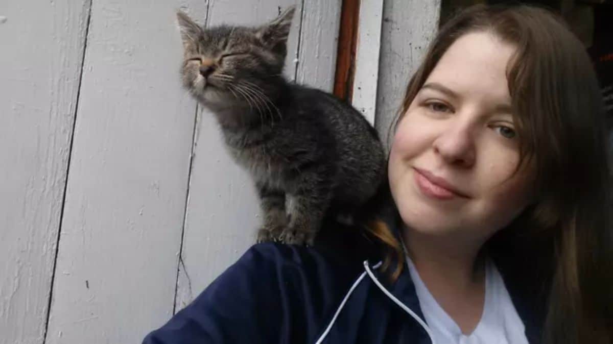 grey tabby kitten with eyes closed sitting on a woman's shoulder