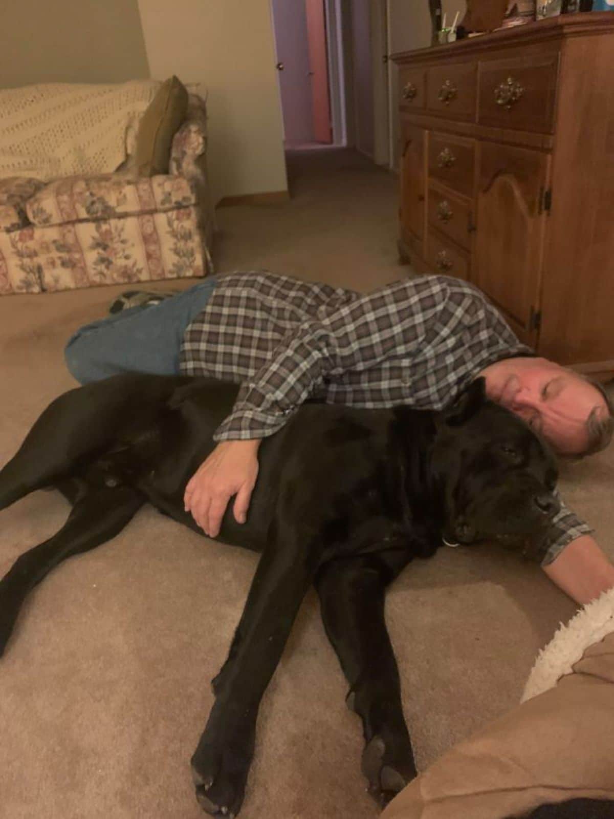 large black dog laying on the floor with the head resting on man's arm while the man cuddles the dog