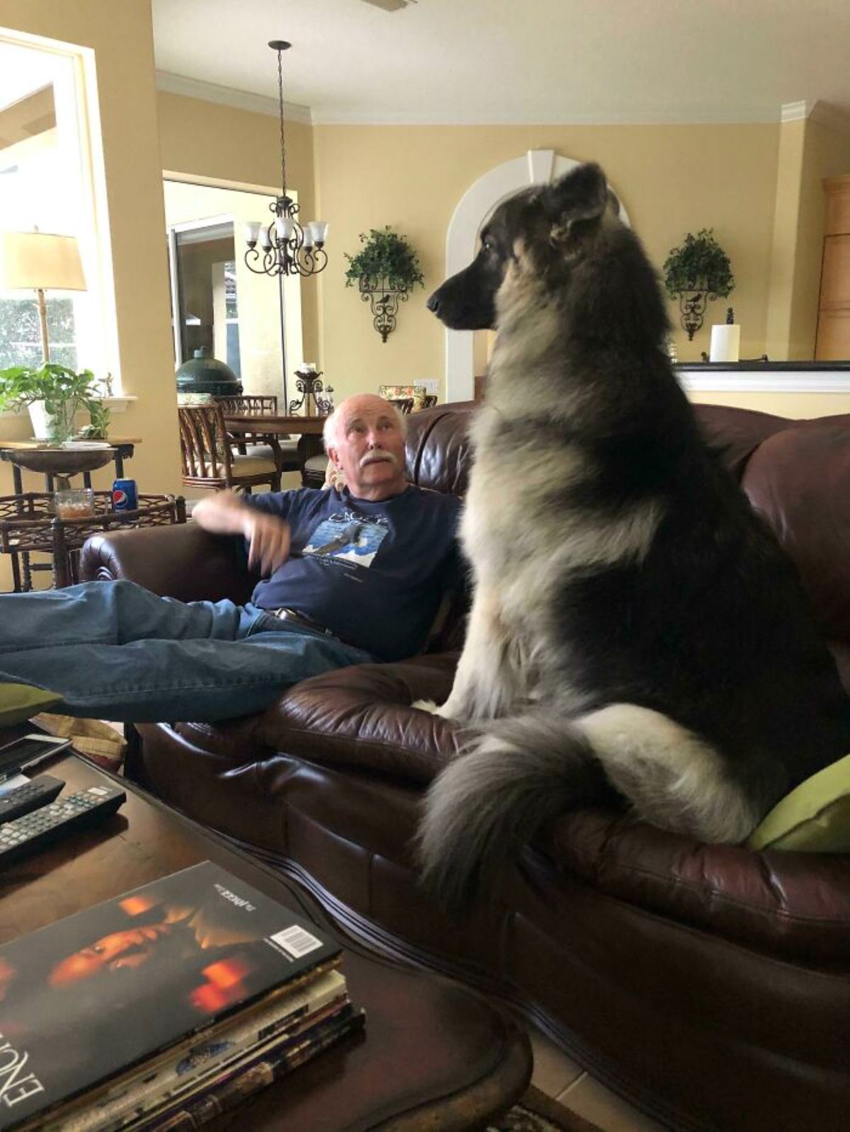 large brown and black dog sitting on a brown couch next to an old man