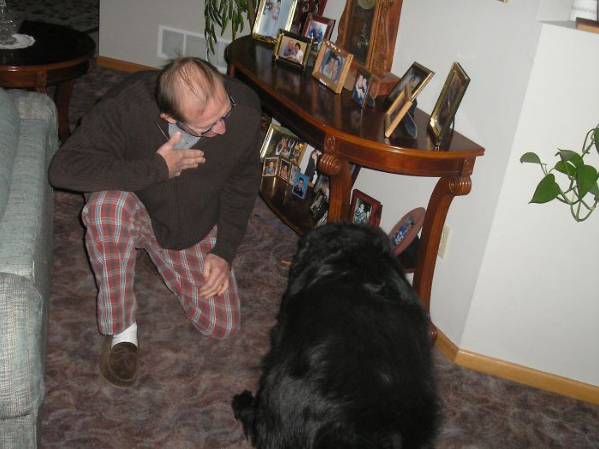 large fluffy black dog sitting on the floor with an old man kneeling next to the dog and holding a hand to his heart