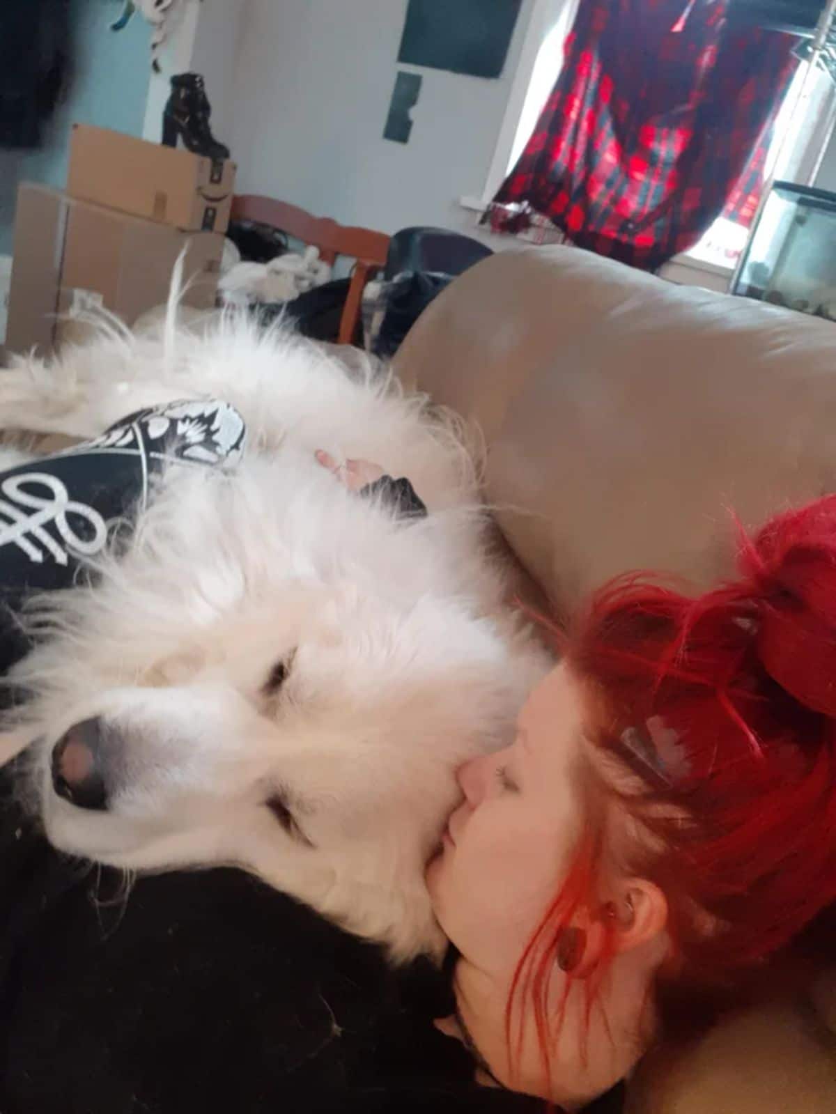 large fluffy white dog laying on a woman laying on a brown sofa