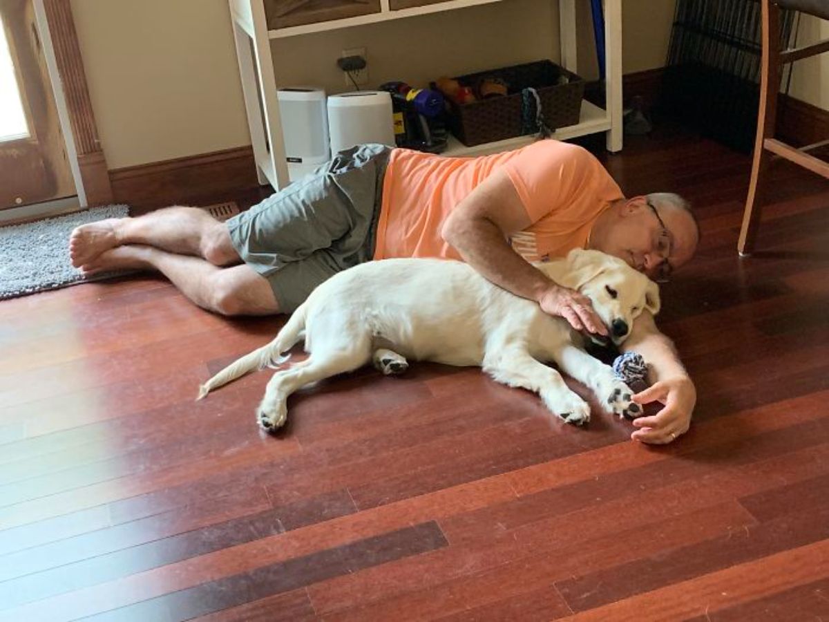older golden retriever puppy laying on the floor with an old man laying behind the puppy and cuddling it