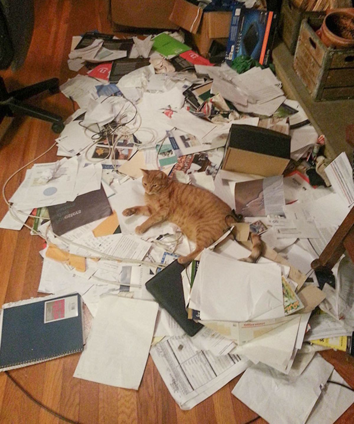 orange cat laying on a pile of files, papers and cables and a bunch of other things