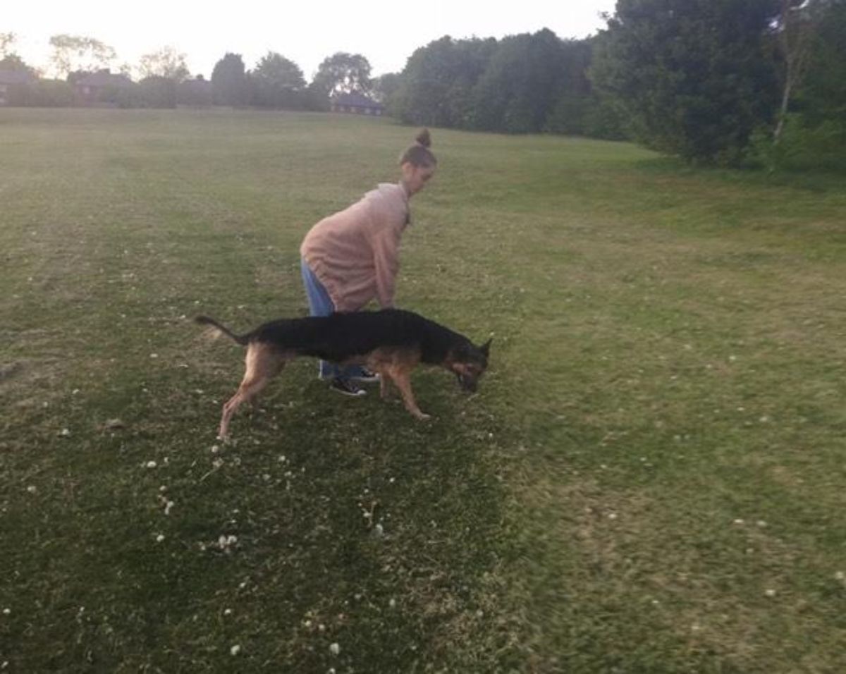 panoramic fail of black and brown dog next to a woman and the dog has a long body