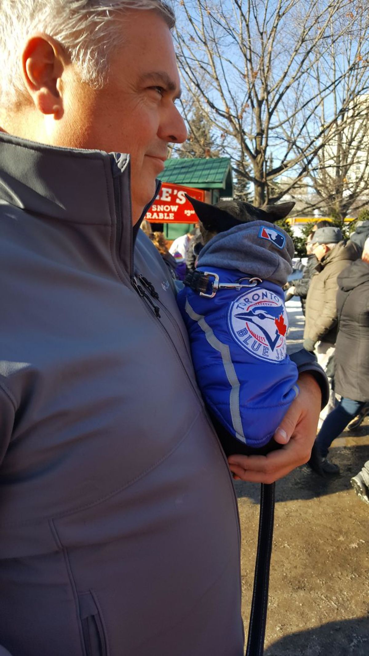 small black dog in a blue toronto blue jays hoodie being carried by an old man