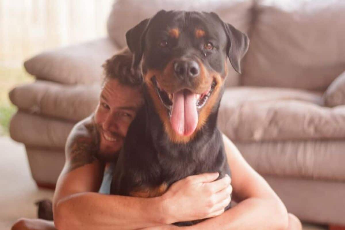 smiling black and brown rottweiler being hugged by a man from behind