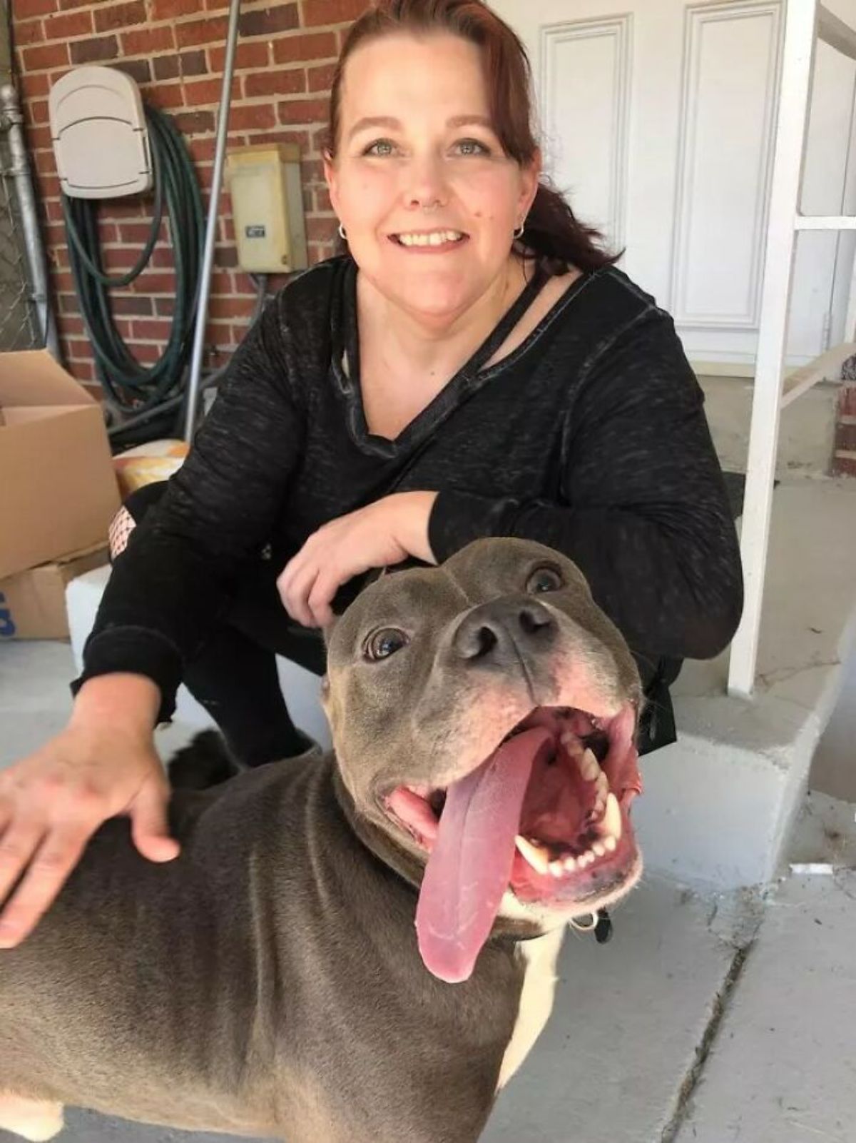 smiling black and white pitbull with a woman sitting on a chair
