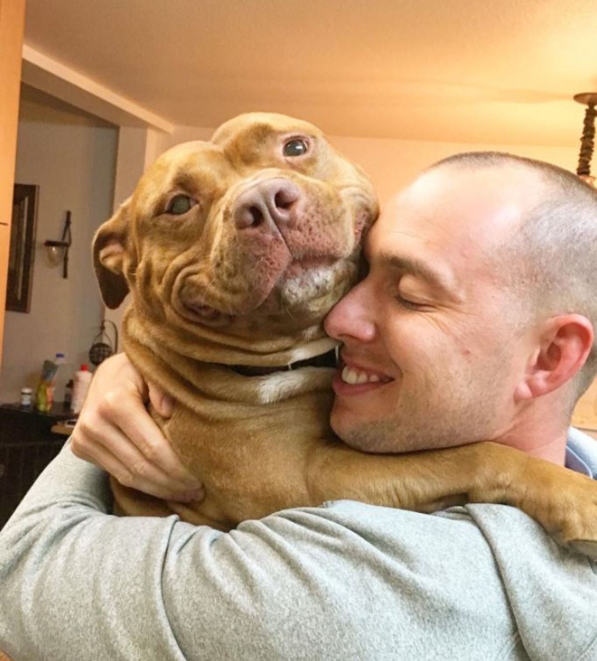 smiling brown and white pitbull being held up and being hugged by a man