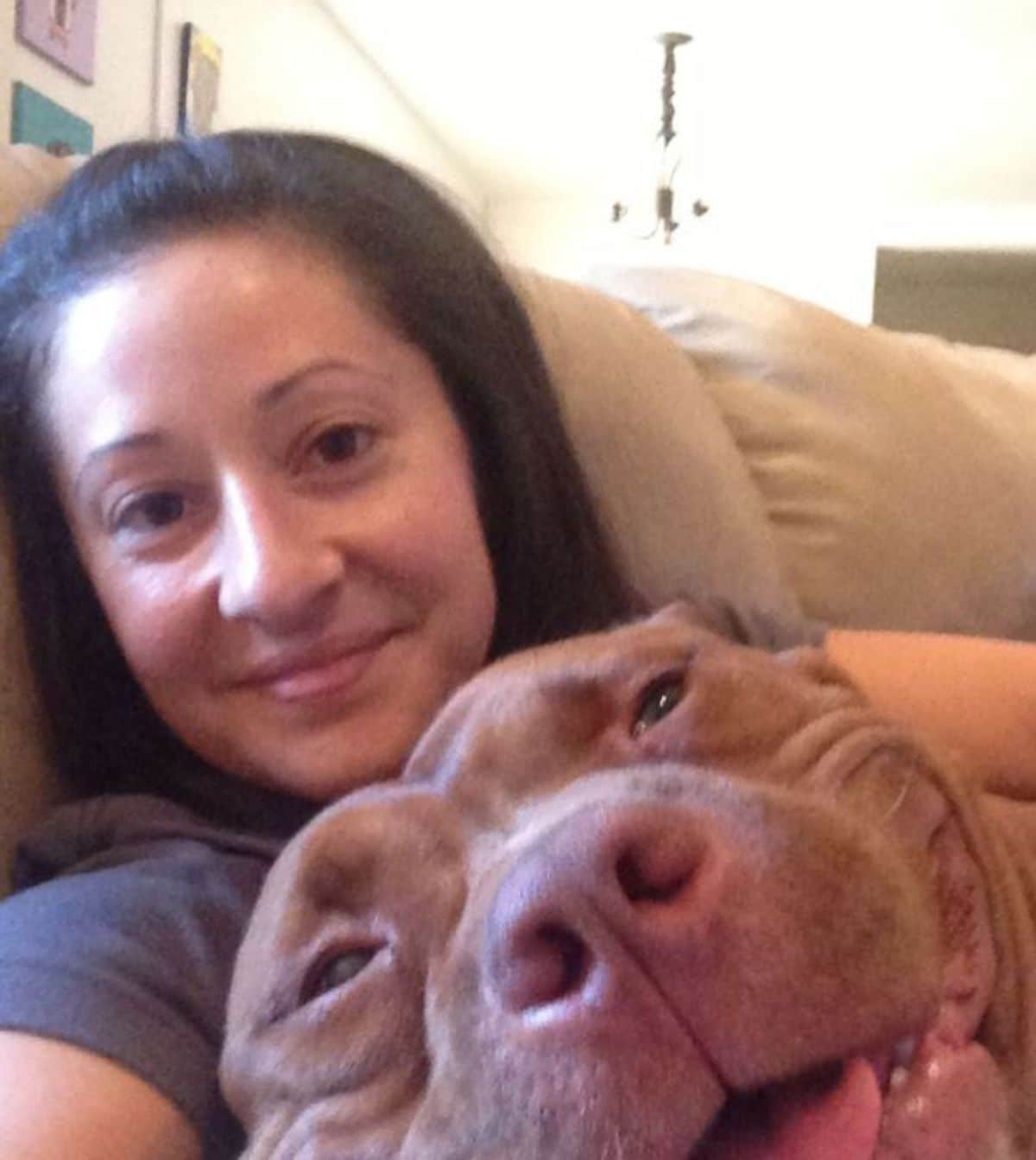 smiling brown and white pitbull being hugged by a woman