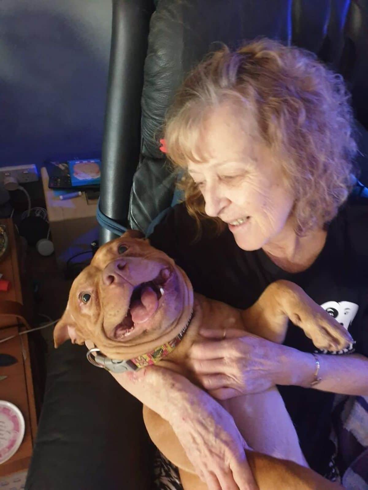 smiling brown pitbull being cuddled and petted by a woman