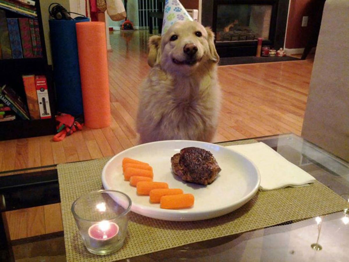 smiling golden retriever wearing a party hat sitting in front of a table with a plate of meat and carrots