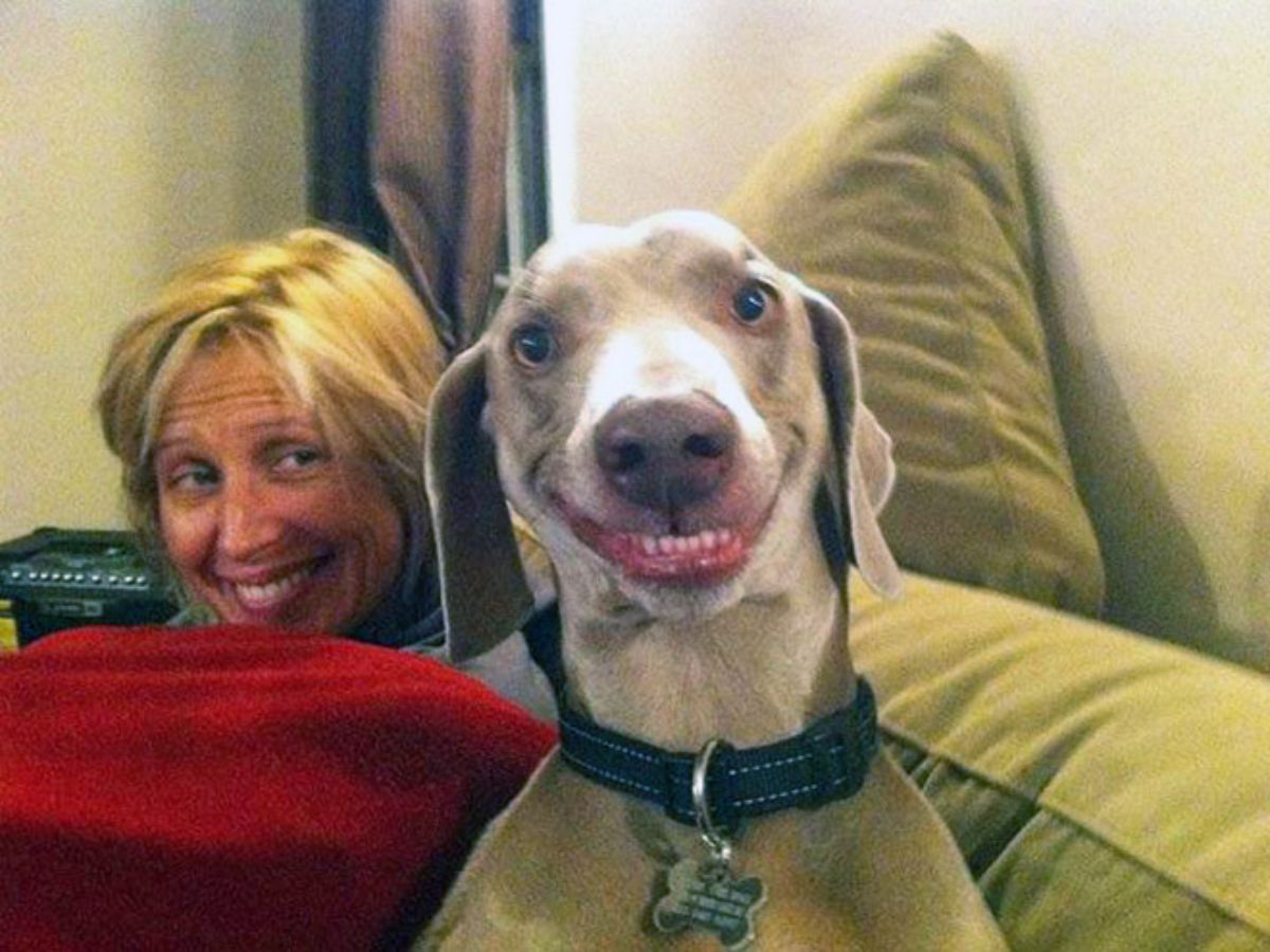 smiling grey and white dog with a smiling woman behind the dog