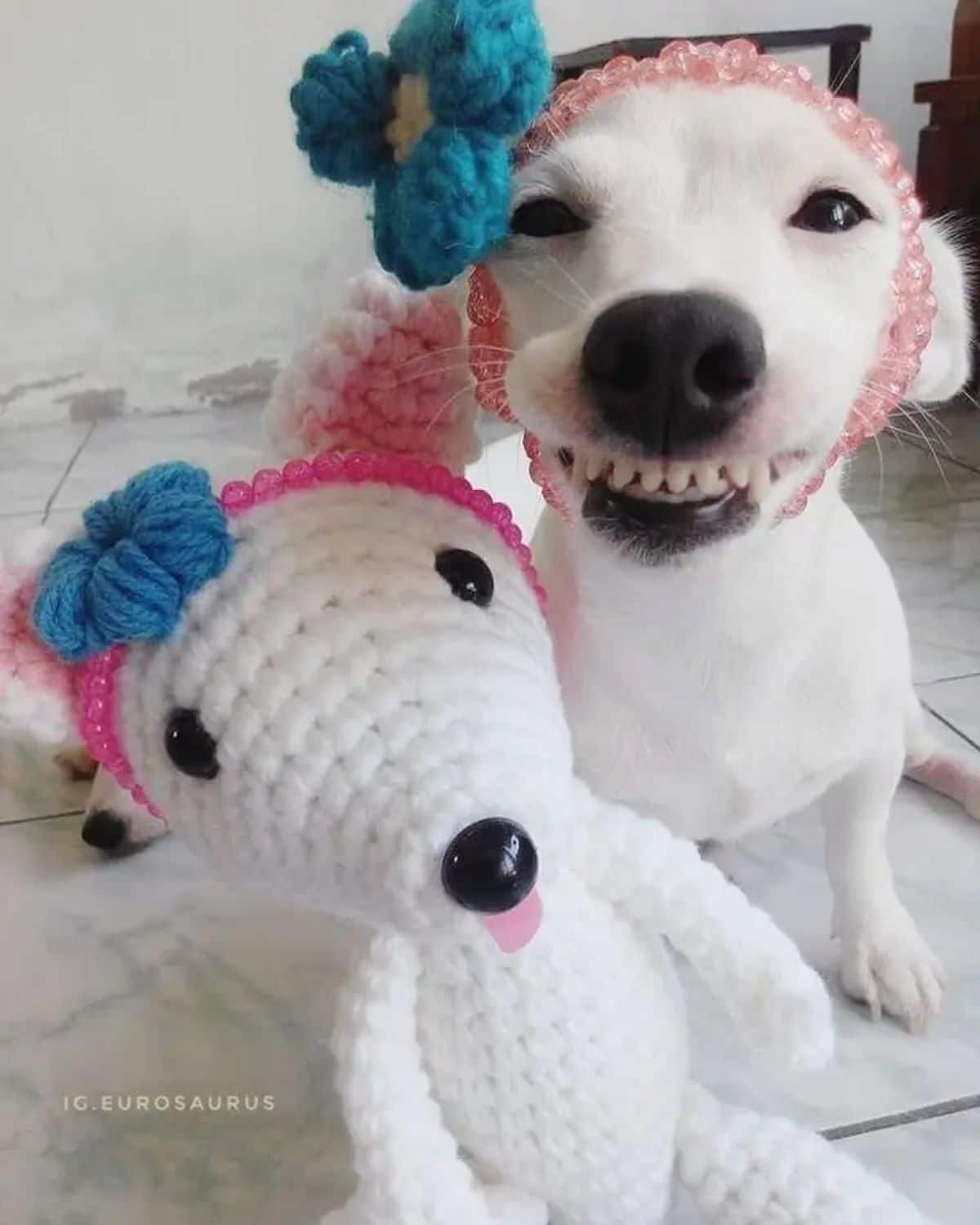 white dog in pink bead hairband and blue and white flower on the side with a knitted version of the dog next to it