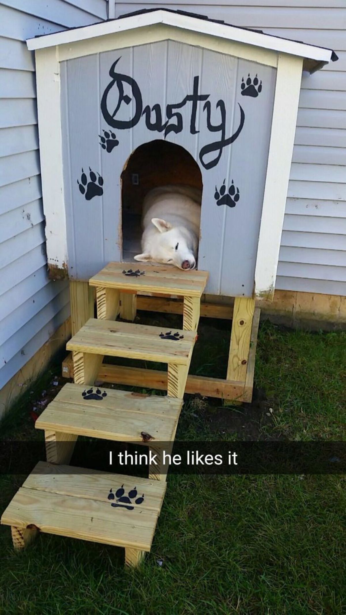 white dog laying inside a grey and white doghouse with the name Dusty and pawprints painted on it with steps leading down and a caption I think he likes it