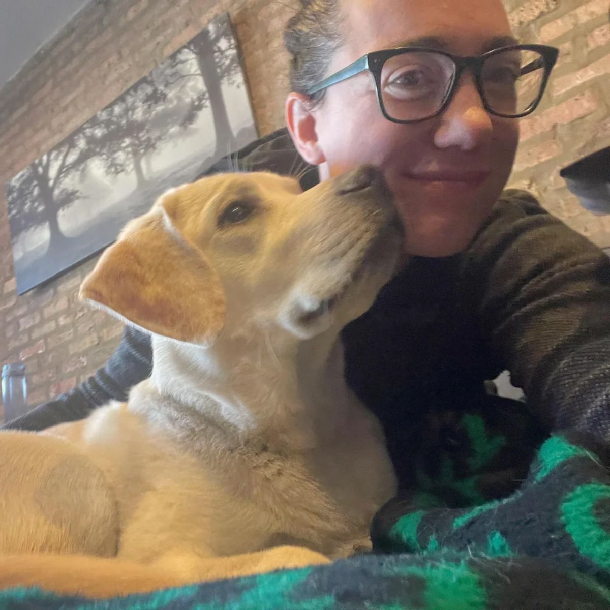 white dog looking up at a person lovingly