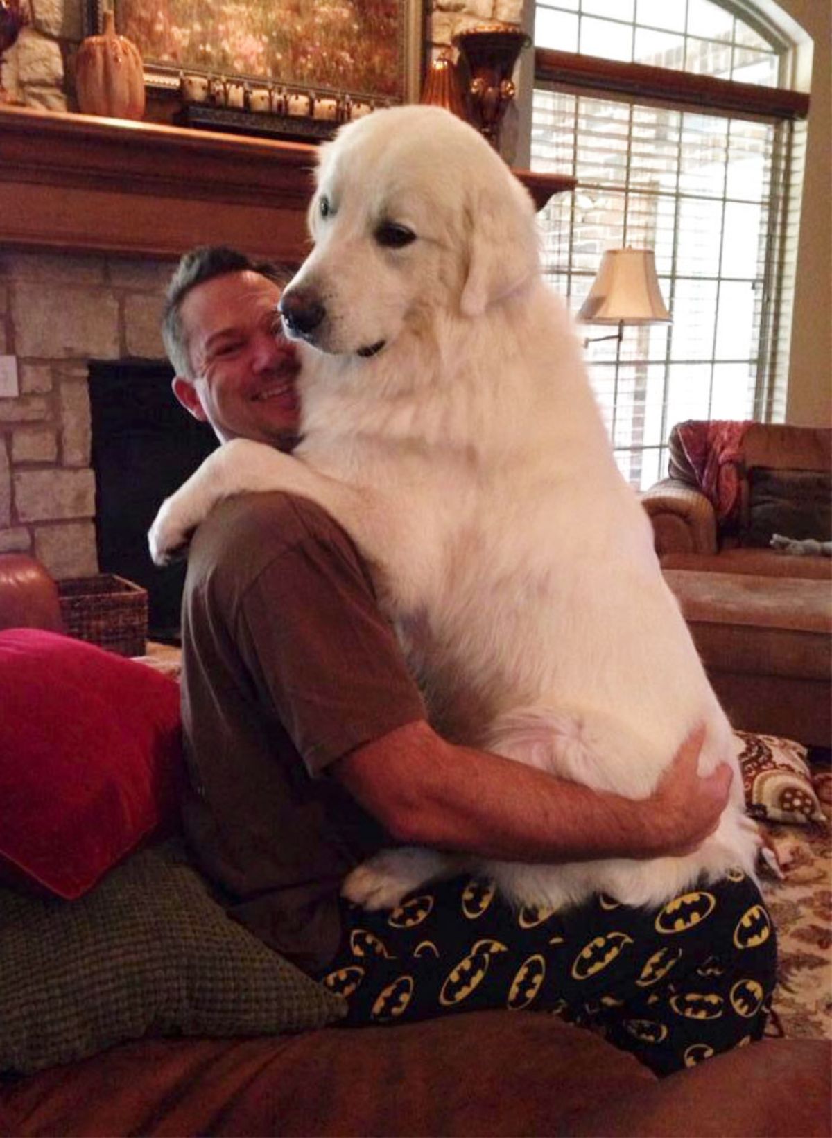 white great pyrenees sitting astride a man and they're hugging each other