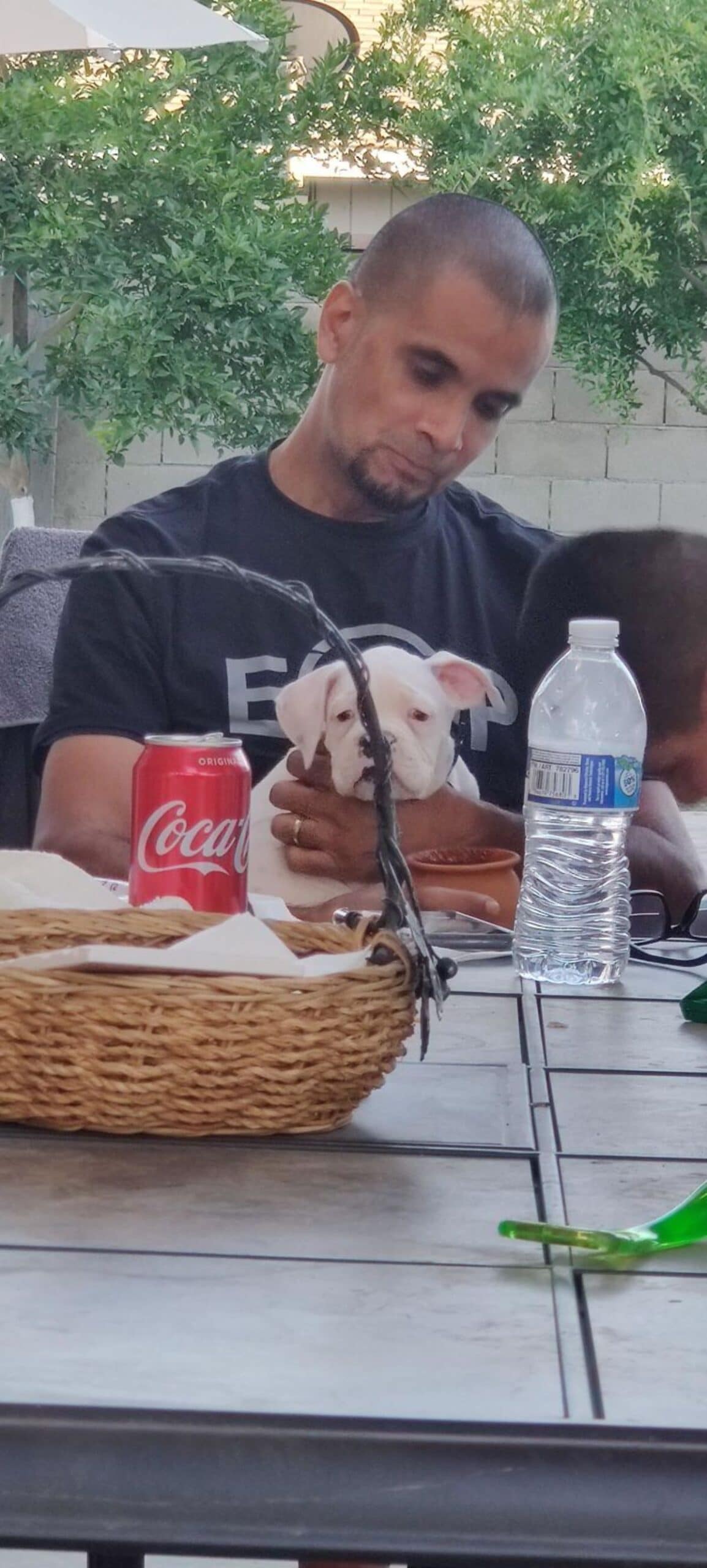 white puppy sitting on a man's lap and being petted with a coke and water on the table in front of them
