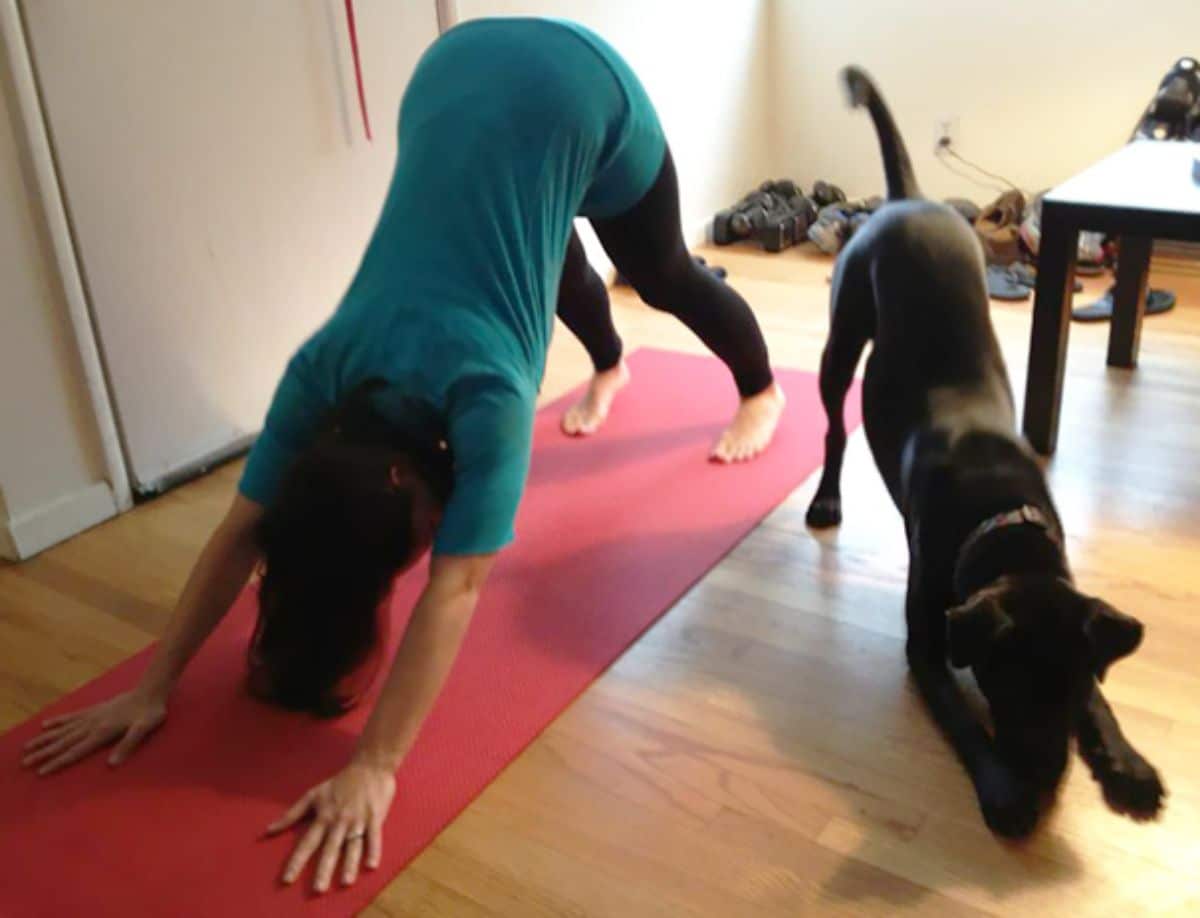 woman and black dog doing a downward dog yoga pose