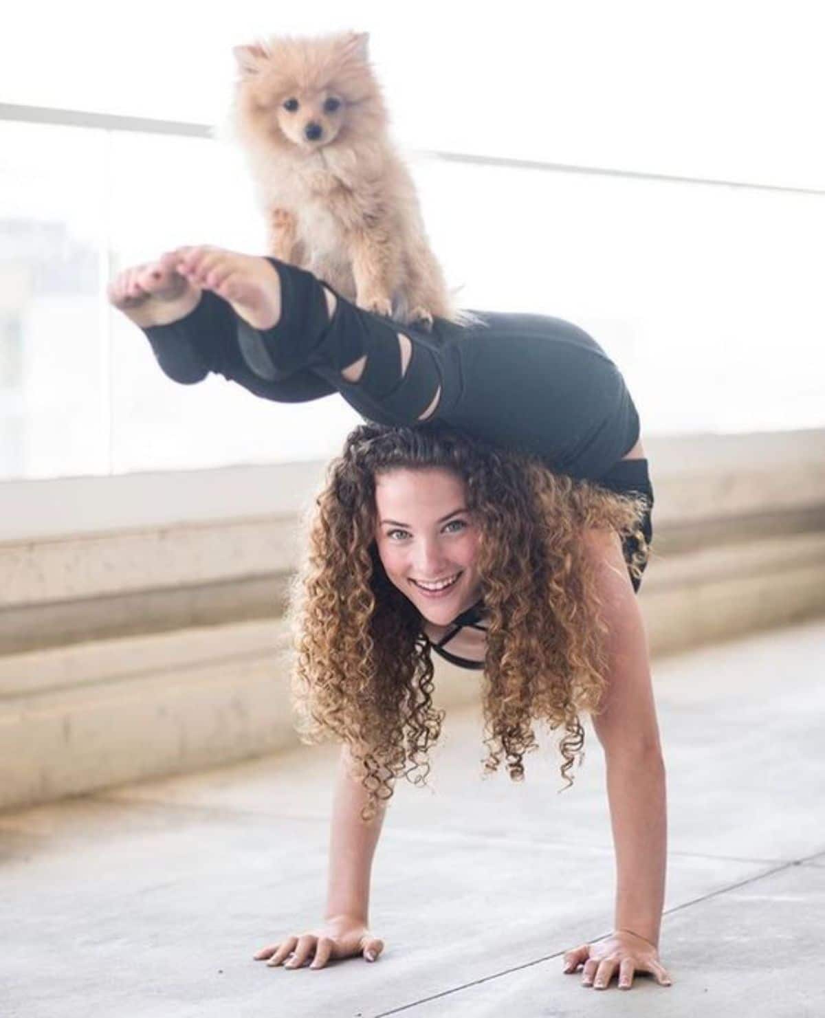 woman doing handstand with the legs over her head and a fluffy brown and white pomeranian sitting on the legs