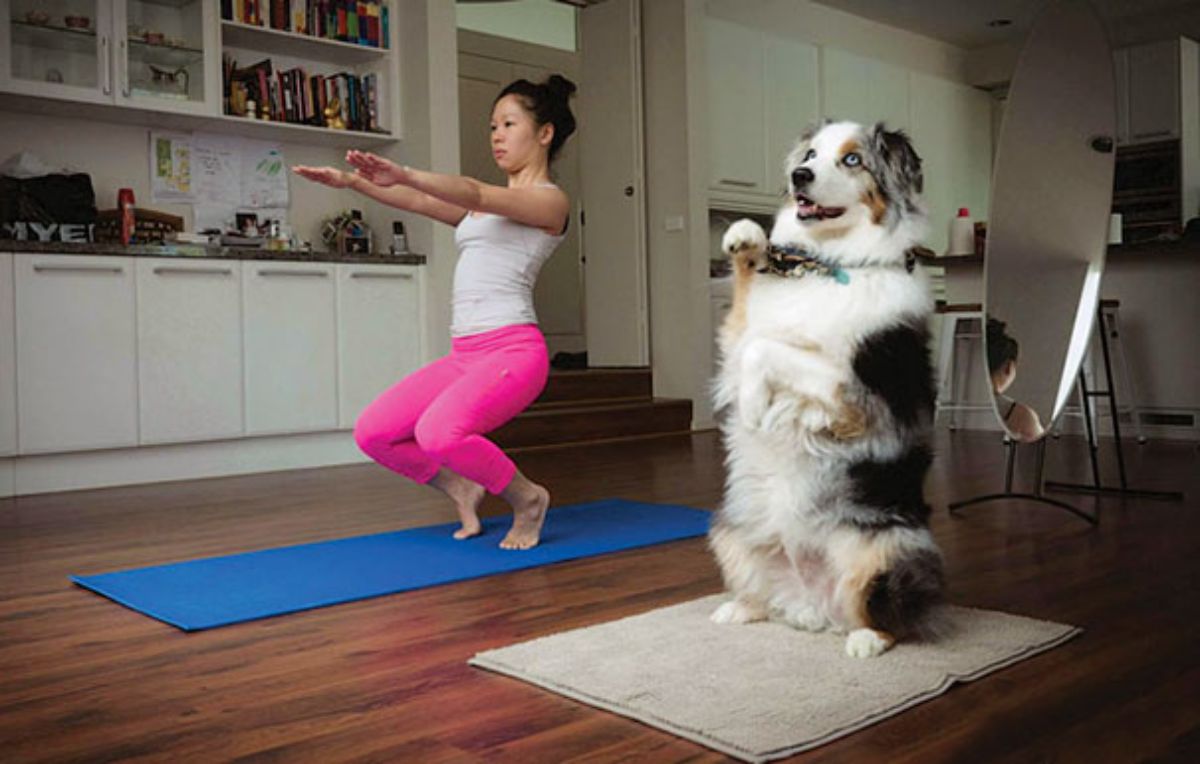 woman doing yoga on a mat next to a white black and brow australian shepherd sitting on its haunches