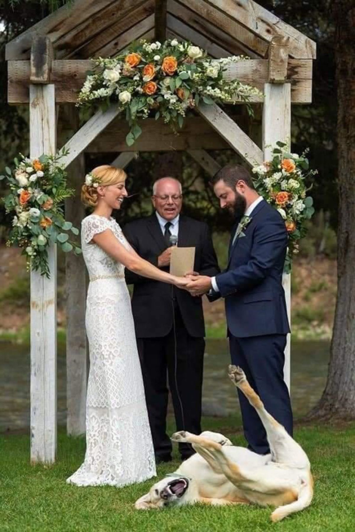 yellow labrador retriever laying on its side and playing in front of a bride and groom getting married in a garden
