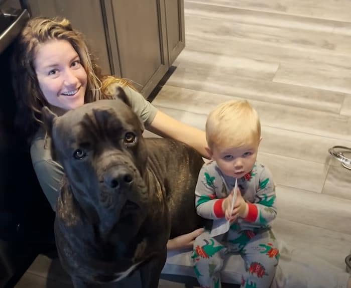 Baby Grows Up With A 125-Pound Dog By His Side - Dog Dispatch