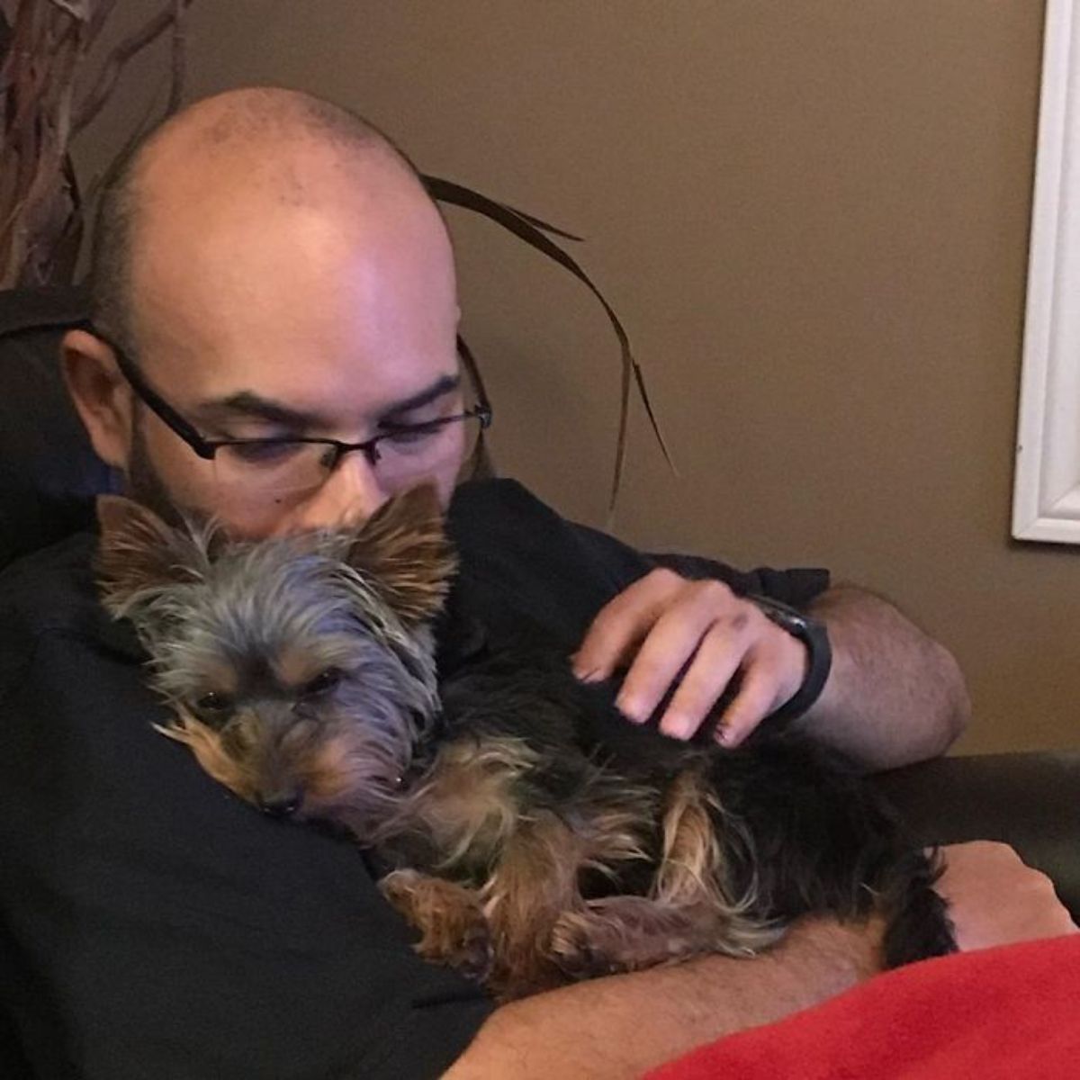 black and brown yorkshire terrier being cuddled by a man