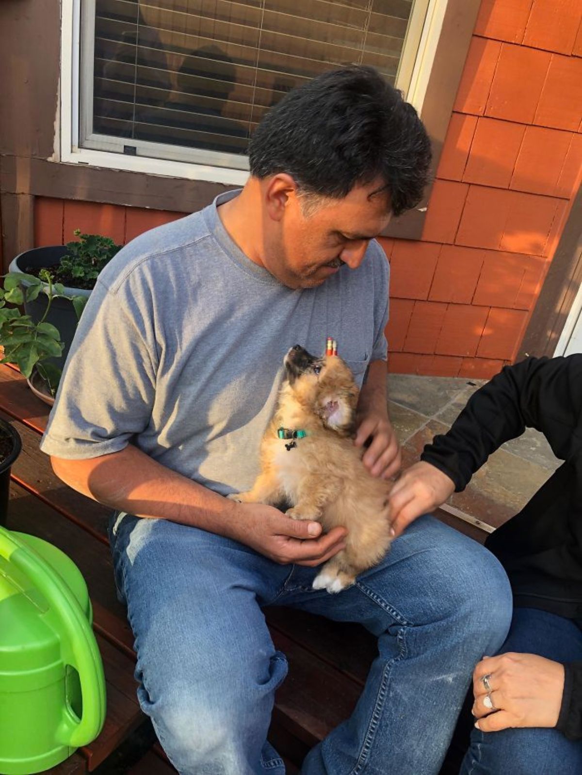 black and white fluffy puppy being held on a man's lap and they're both looking at each other