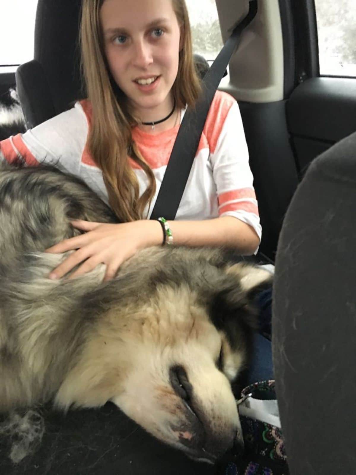 black and white husky laying its head on a woman's lap inside a vehicle