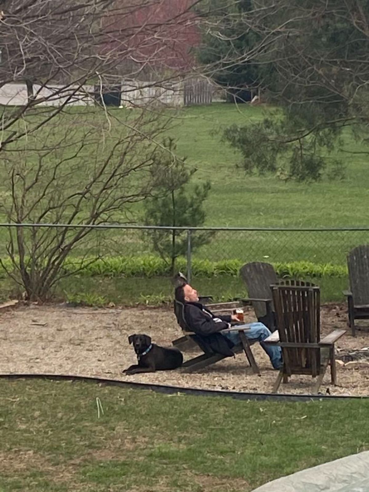 black labrador retriever sitting behind a lawn chair where a man is sitting