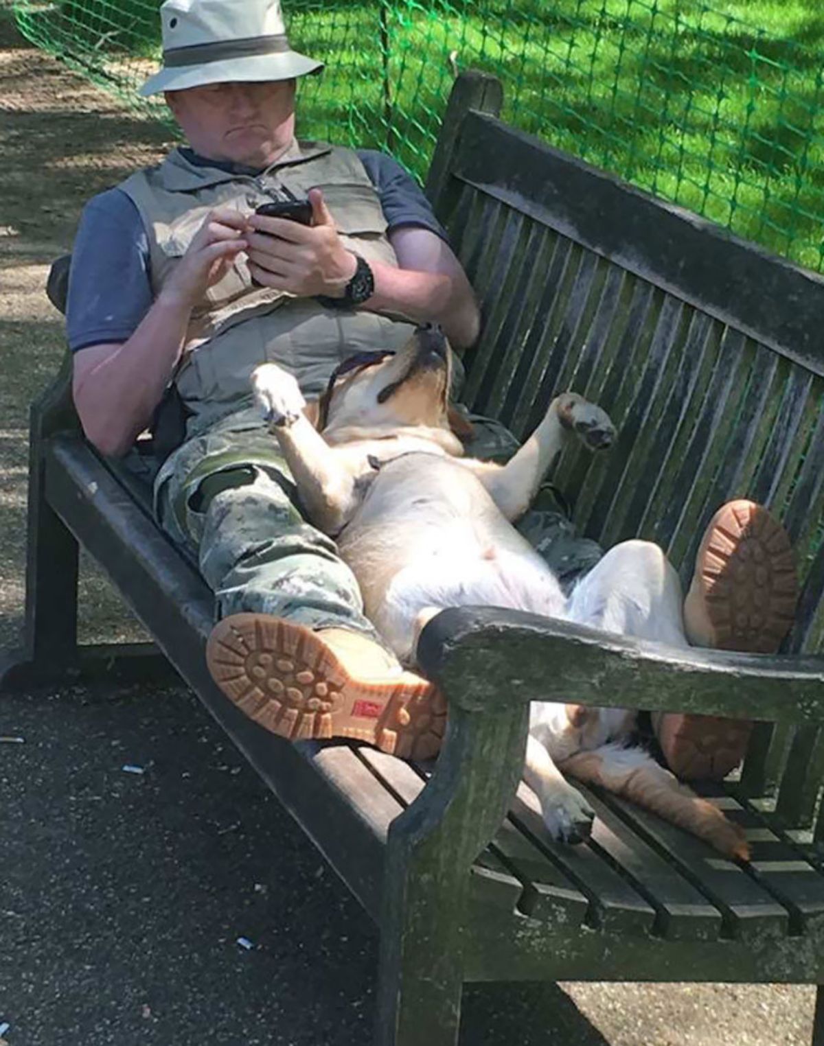 brown and white dog in black sunglasses laying belly up on a man's lap on a black park bench