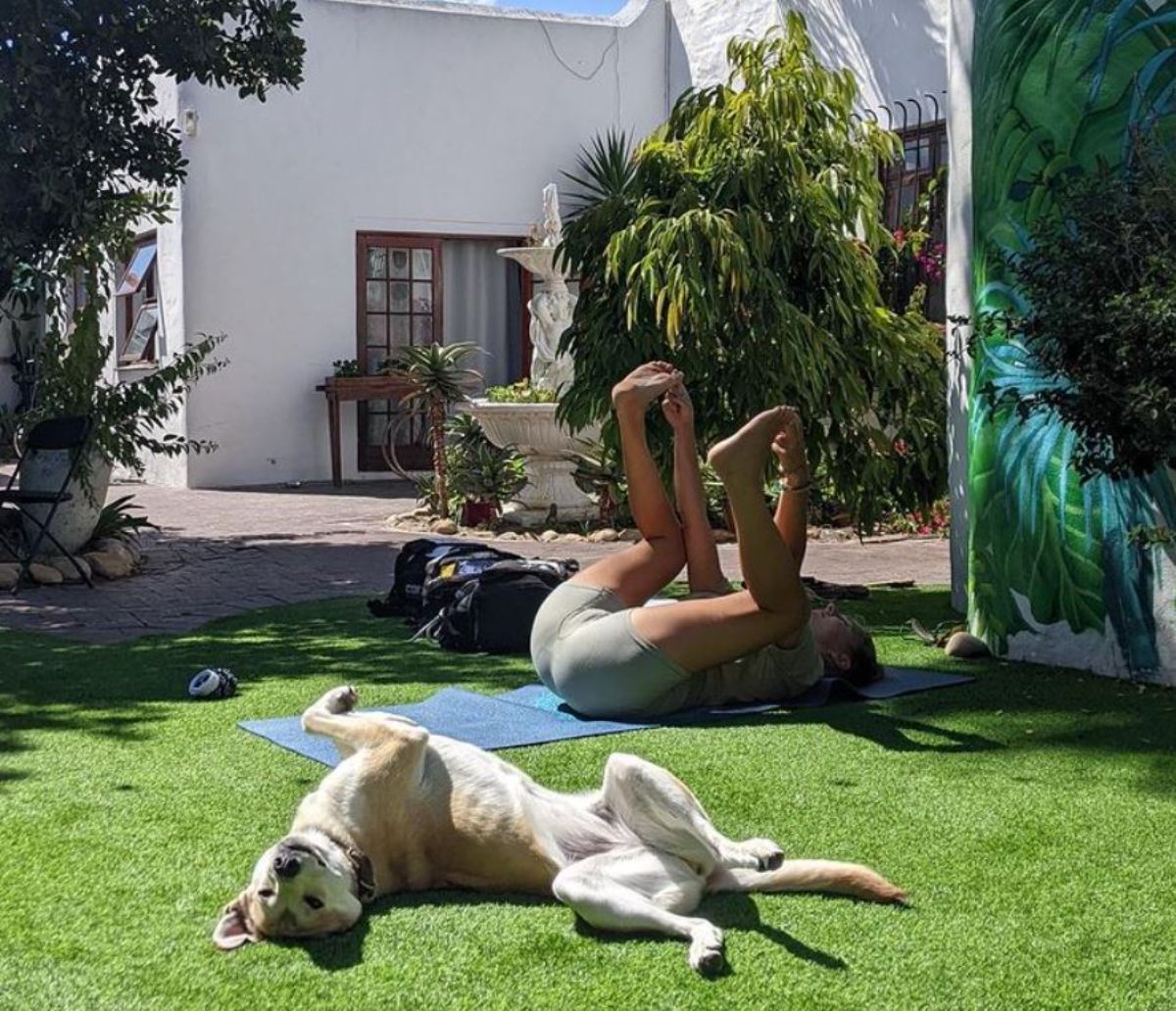 brown and white dog laying belly up on grass next to a woman doing yoga