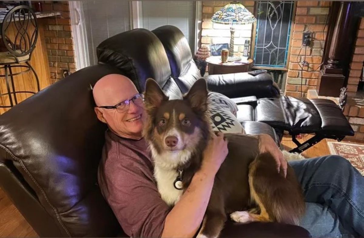 brown and white dog laying on an old man's lap