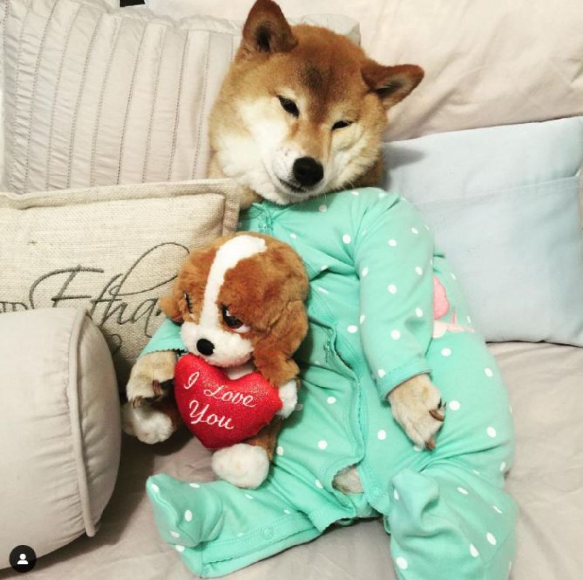 brown and white shiba inu wearing a green and white polka dotted onesie and holding a brown and white teddy bear