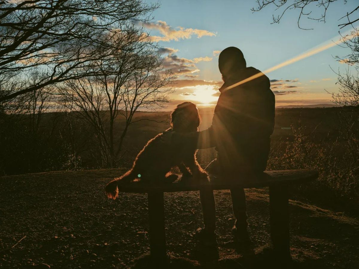 brown cockapoo sitting on a bench next to a man holding it in the sunset