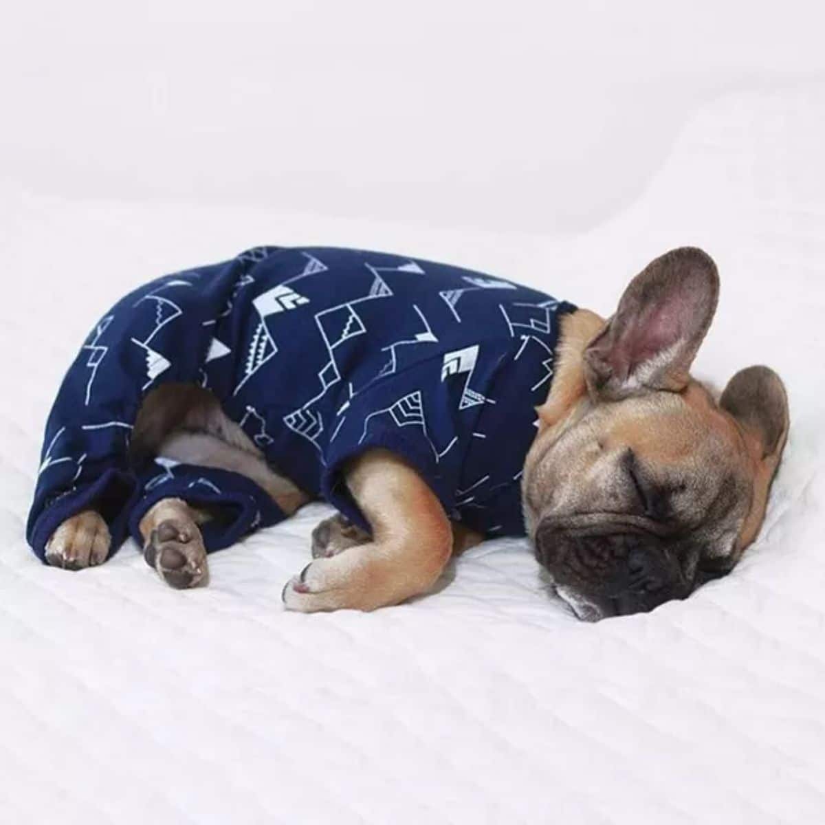brown french bulldog sleeping in a blue and white mountain onesie on a white bed