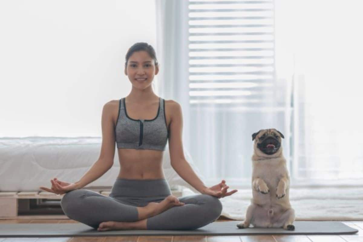brown pug sitting up on its haunches on a yoga mat next to a woman in a meditative pose