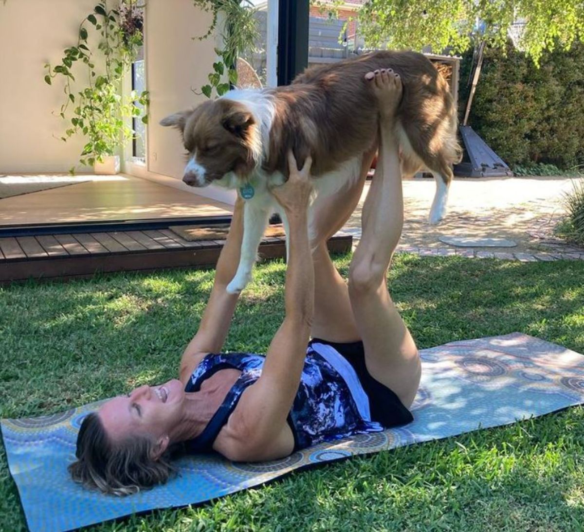 fluffy brown and white dog being held up by a woman laying flat on a blue yoga mat in a garden