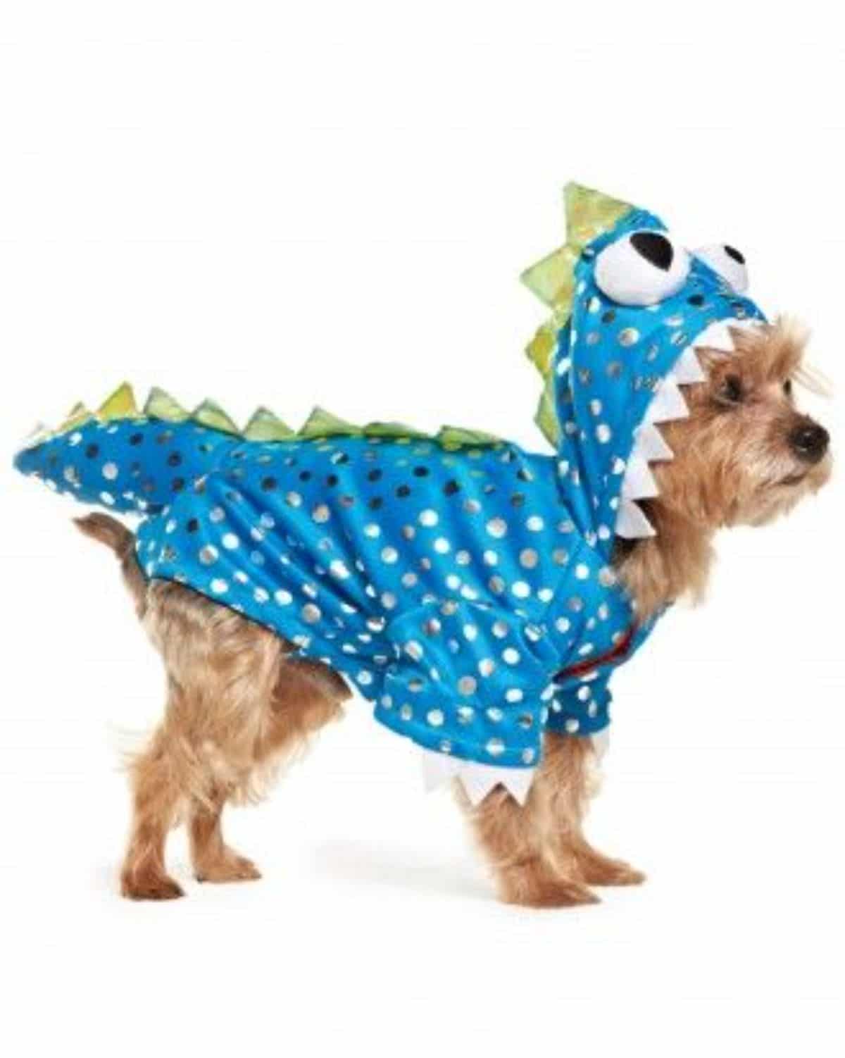 fluffy brown terrier wearing a blue gree and white dinosaur onesie