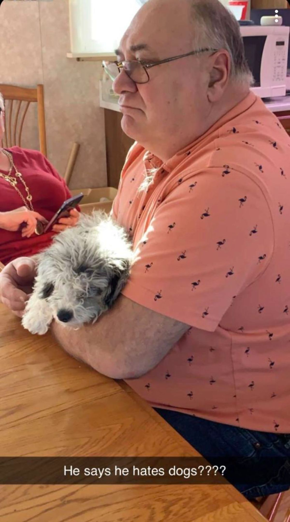 fluffy white and black puppy being held by a man with the caption He says he hates dogs