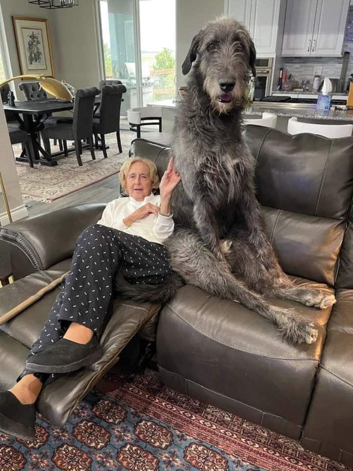 grey irish wolfhound sitting on its haunches on a black sofa next to an old woman