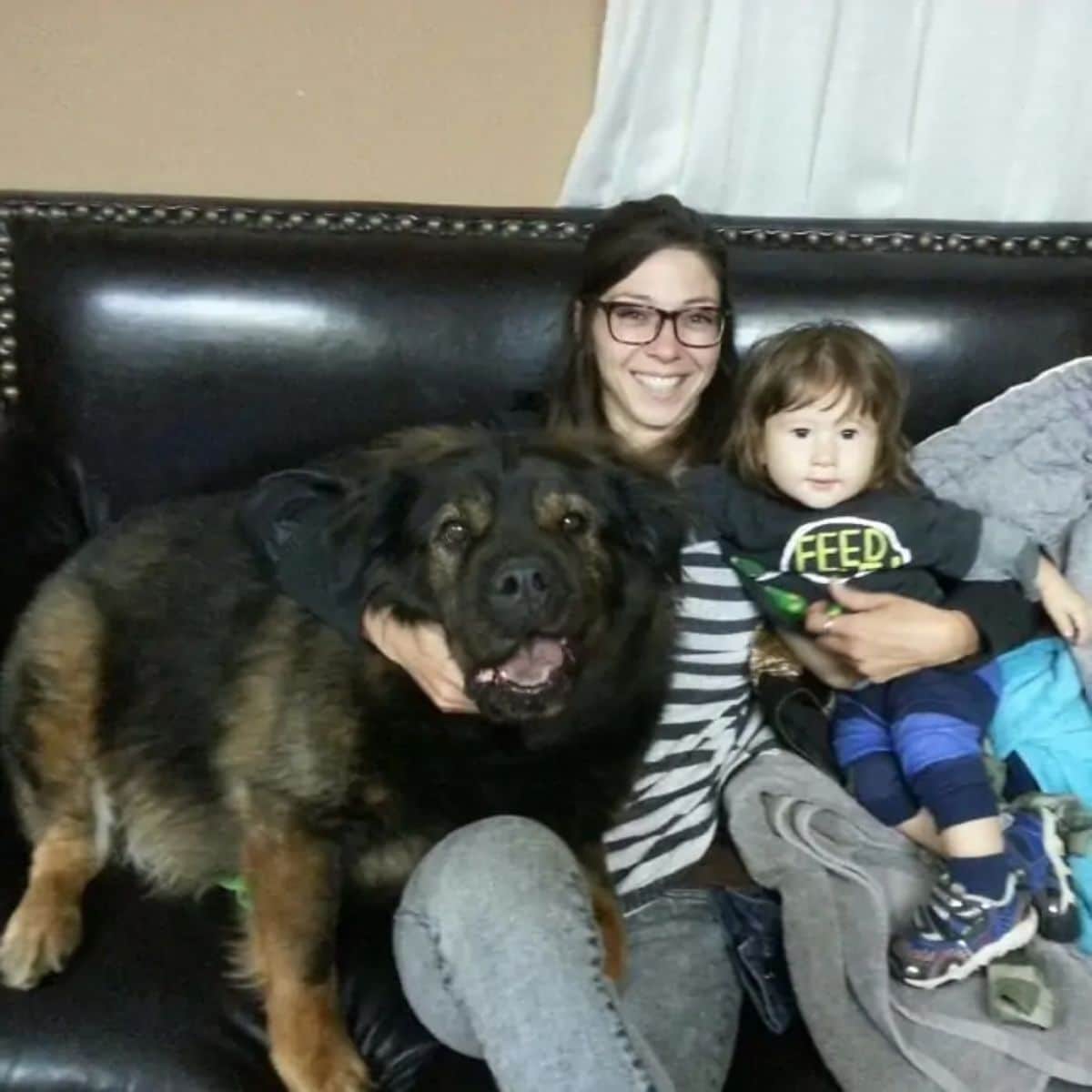 large black and brown dog sitting next to a woman and a toddler on a black sofa